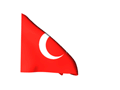 Türk bayrağı2.gif