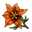 Dosya:Portakal Renkli Çiçek.png