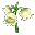 İnci çiçeği.png