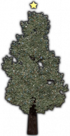 Noel Ağacı.png