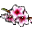 Şeftali Çiçeği.png