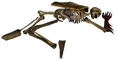 387px-Sura-Skelett 4.png