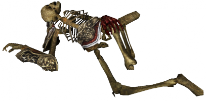 407px-Sura-Skelett 3.png