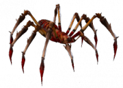 Kırmızı Ölümcül Zehirli Örümcek.png
